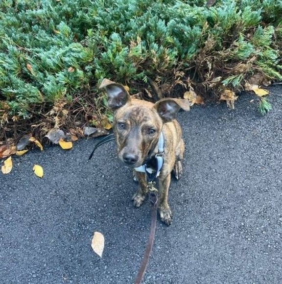 Meet your Posher, Kimberly - Picture 1 of 1